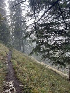 Photo de sophie le long du parcours