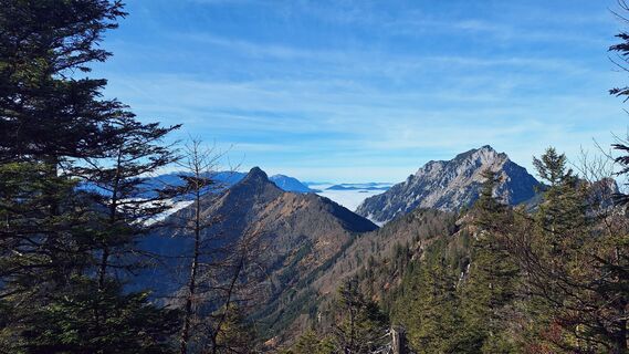 Photo de Regina Fleischmann le long du parcours