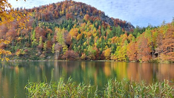 Foto da Gerhard Faugel lungo il tour