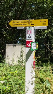 Fotografia z Klaus Lehner na trase