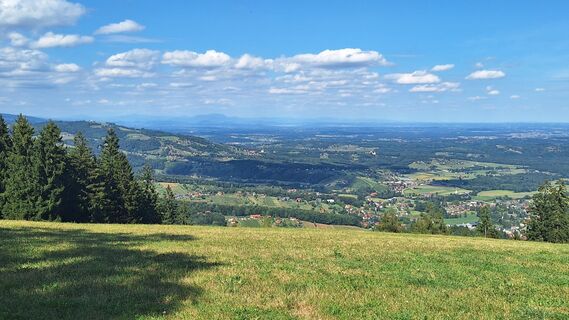 Foto von Susi entlang der Tour