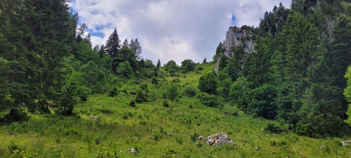 Fotografie z ildiko.kulb na trase