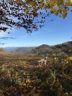 Foto von Anne Müller entlang der Tour