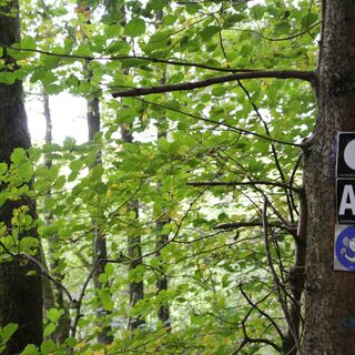 Orkepfad Medelon - Koppi weist den Weg