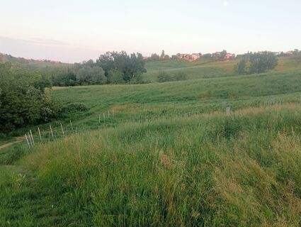 Photo de simone ravasi le long du parcours