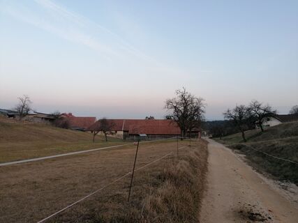 Fotografia z Dragoljub Ilic na trase