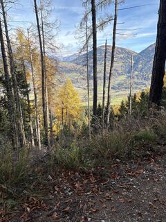Foto von David 16 entlang der Tour