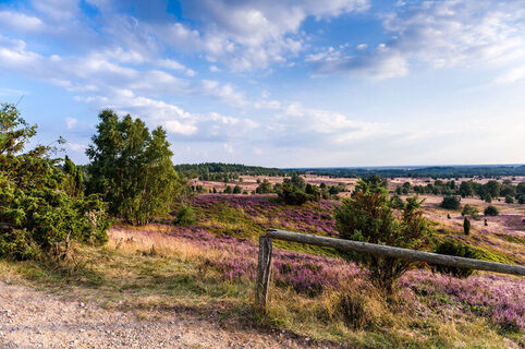Ausblick vom Wilseder Berg in der Lüneburger Heide