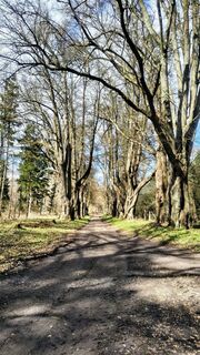 Photo de Sauerpurzel le long du parcours