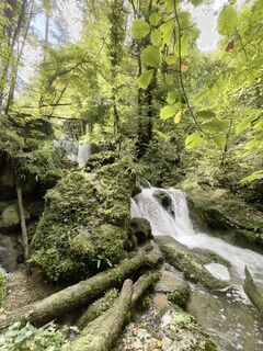 Photo de GabrielSR76 le long du parcours