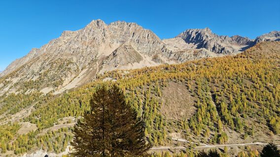 Fotografia z Fabrizi Mellano na trase
