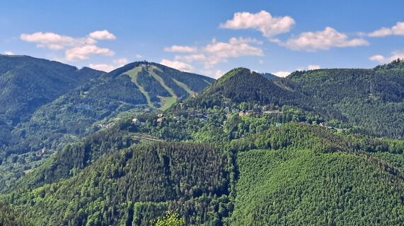 Fotografia z Robert Scheiber na trase