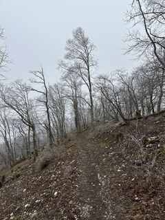 Fotó a Yannick Alpinwandern honlapról a túra során