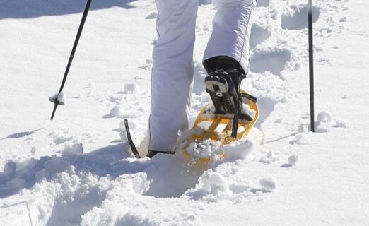 Schneeschuhwandern