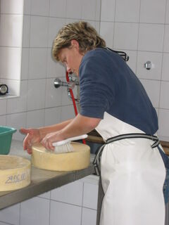 Almkäserei Leppner Ochsnerhütte