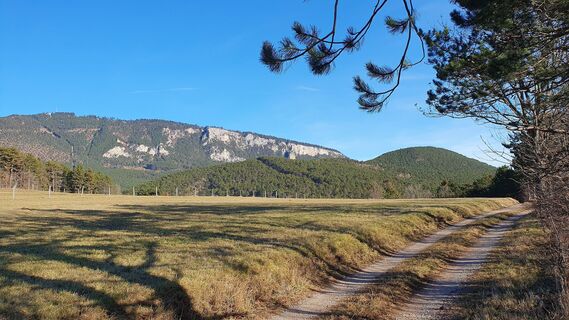 1.1 km Blick auf Hohe Wand mit Großer Kanzel