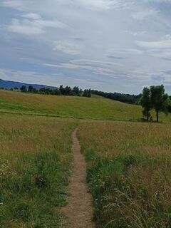 Foto von Adam Akwen entlang der Tour