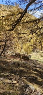 Fotografie de la Pellnmadl♥️ de-a lungul turului