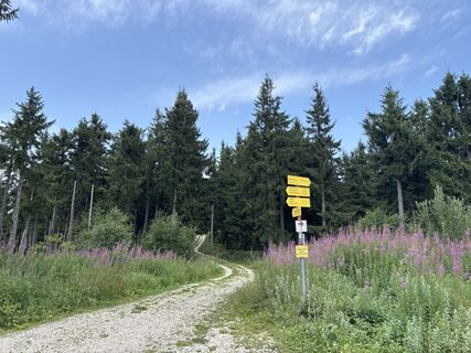 Fotografia z Heinz Sperl na trase