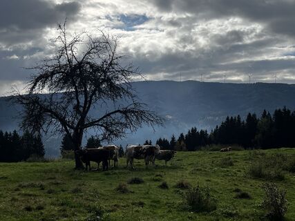 Foto von Robert.Unterlercher entlang der Tour
