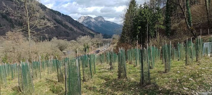 Foto von wolfkl entlang der Tour