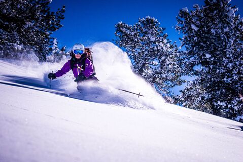 Landhotel Steindlwirt