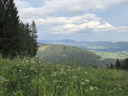 Fotografia z Ich Selbst na trase