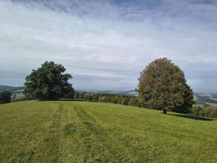 Zdjęcie z Jürgen Mück wzdłuż trasy