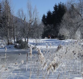 inzell winter landschaft 06