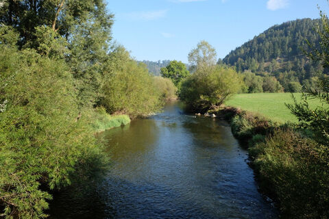 Der Neckar bei Epfendorf