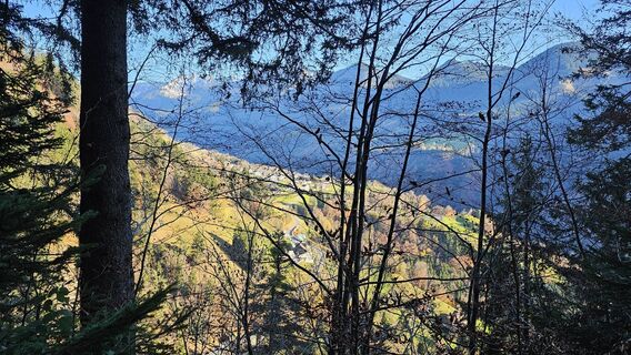 Foto fra Reinhard Ertl underveis på turen