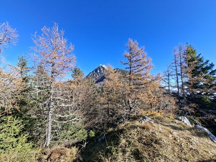 Foto von Anci Jekovec entlang der Tour