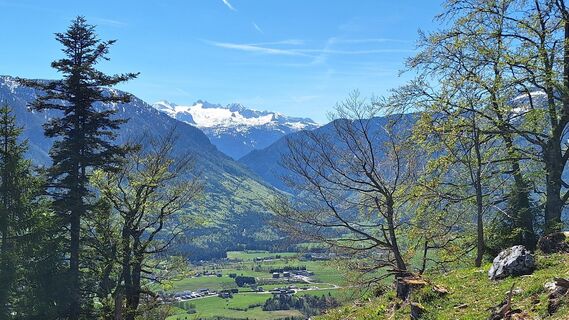 Photo de Susi Puhl le long du parcours
