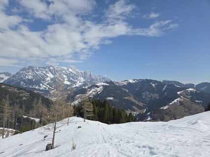 Foto från Gerhard Mild 1 under resans gång