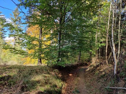 Zdjęcie z DevilsBastard wzdłuż trasy