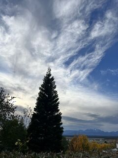 Fotografia z Szakos1985 na trase