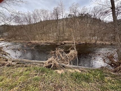 Foto da Gerhard Piglmann lungo il tour
