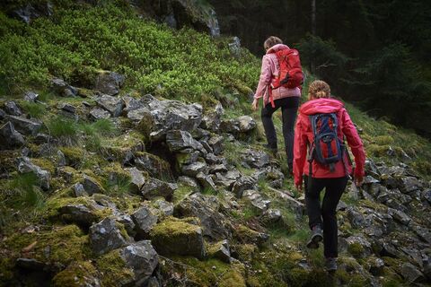Premium-Wanderweg Via Celtica