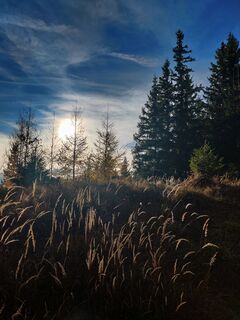 Fotografie de la Martin Londgin de-a lungul turului
