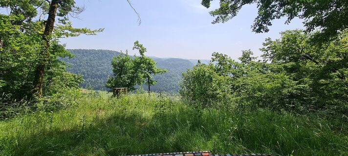 Fotografija s spletne strani A G na poti