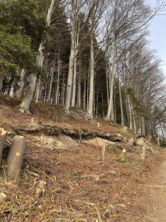 Foto von Cyrill Bischof entlang der Tour