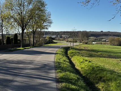 Foto de Schaali a lo largo del recorrido