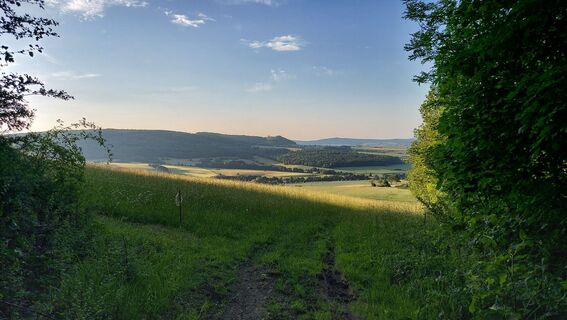 Zdjęcie z Wollomator wzdłuż trasy