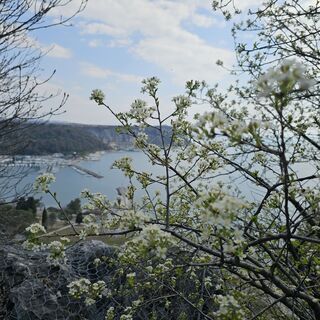 Foto von veronic26 entlang der Tour