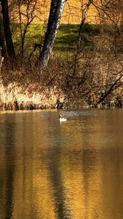 Foto von Aves entlang der Tour