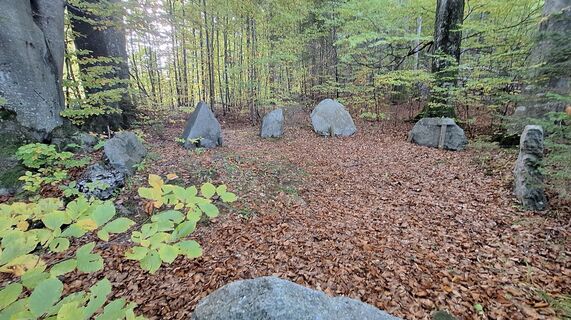 Fotografia z Regina Fleischmann na trase