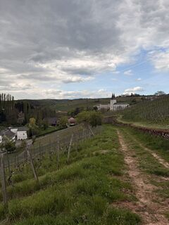 Fotografia z Erma na trase