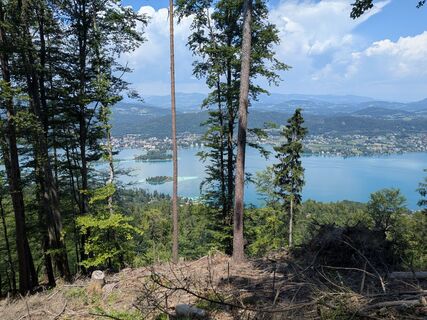 Foto von Edith Himmelreich 1 entlang der Tour