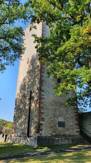 1Greener Burg
