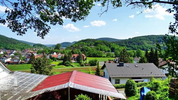 Blick auf Buchenau
